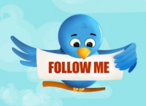 twitter_bird_follow_me